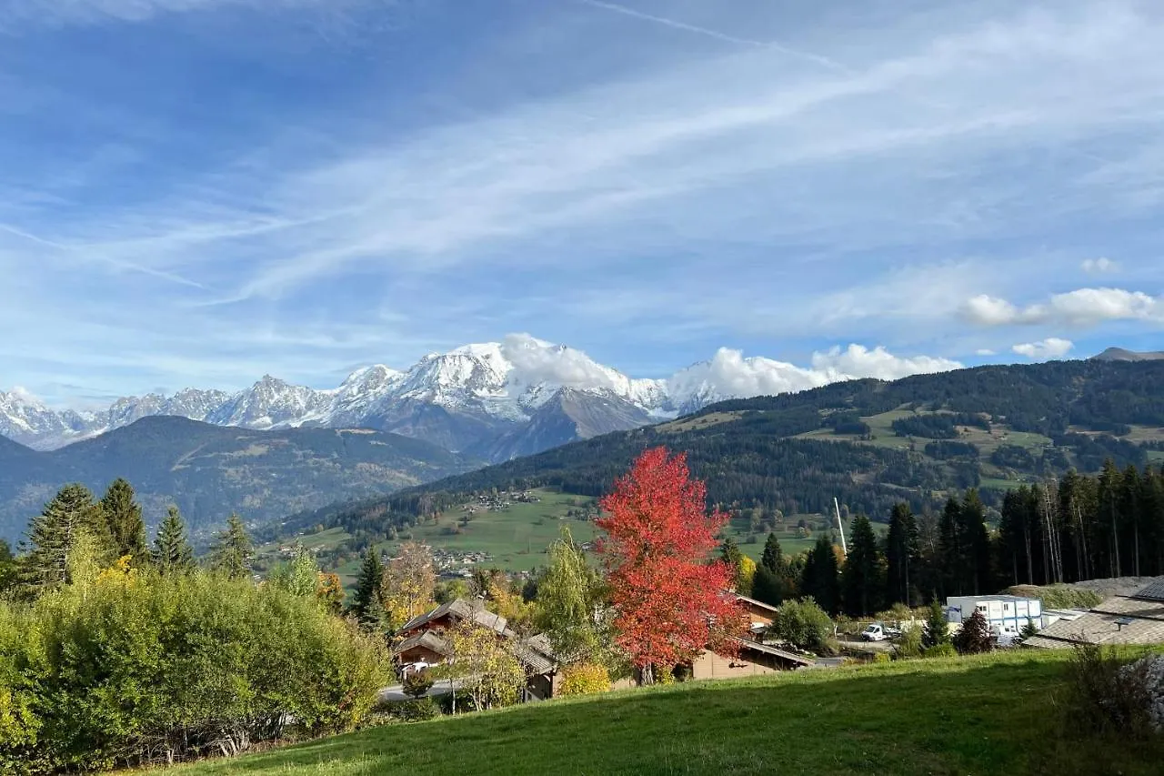 La Suite Edelweiss - Welkeys Combloux 0*,